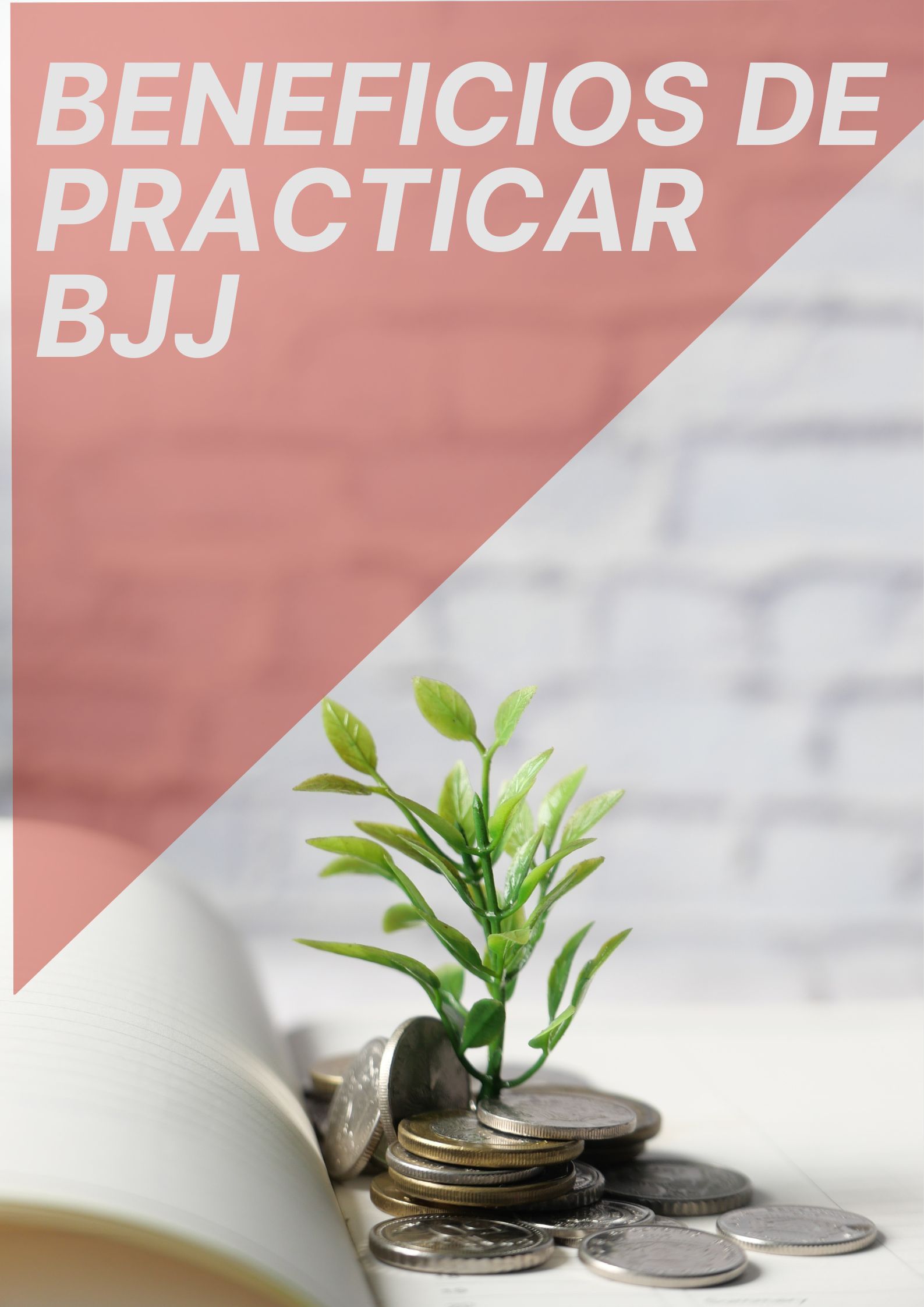 Portada del artículo Beneficios de practicar Brazilian Jiu Jitsu