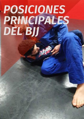posiciones bjj