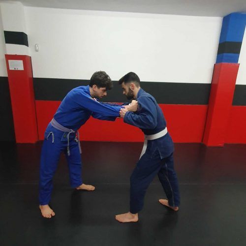clinch bjj