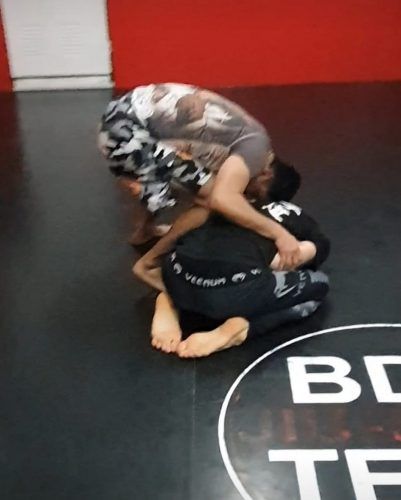 tortuga bjj