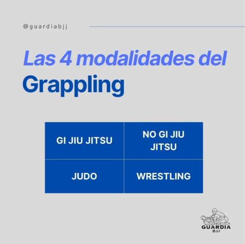Conceptos BJJ (2): Modalides del Grappling